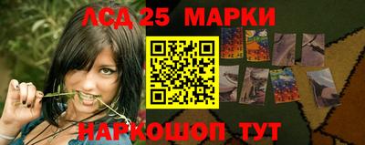стафф Будённовск