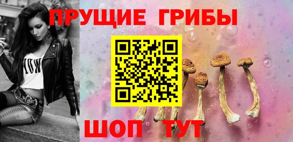 как найти закладки  Псилоцибиновые грибы MAGIC MUSHROOMS  Вход с VPN  Псилоцибиновые грибы Magic Shrooms  Ростов-на-Дону 